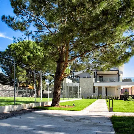 Rita Pool & マスカルチーア